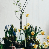 Workshop 2 afbeelding 2